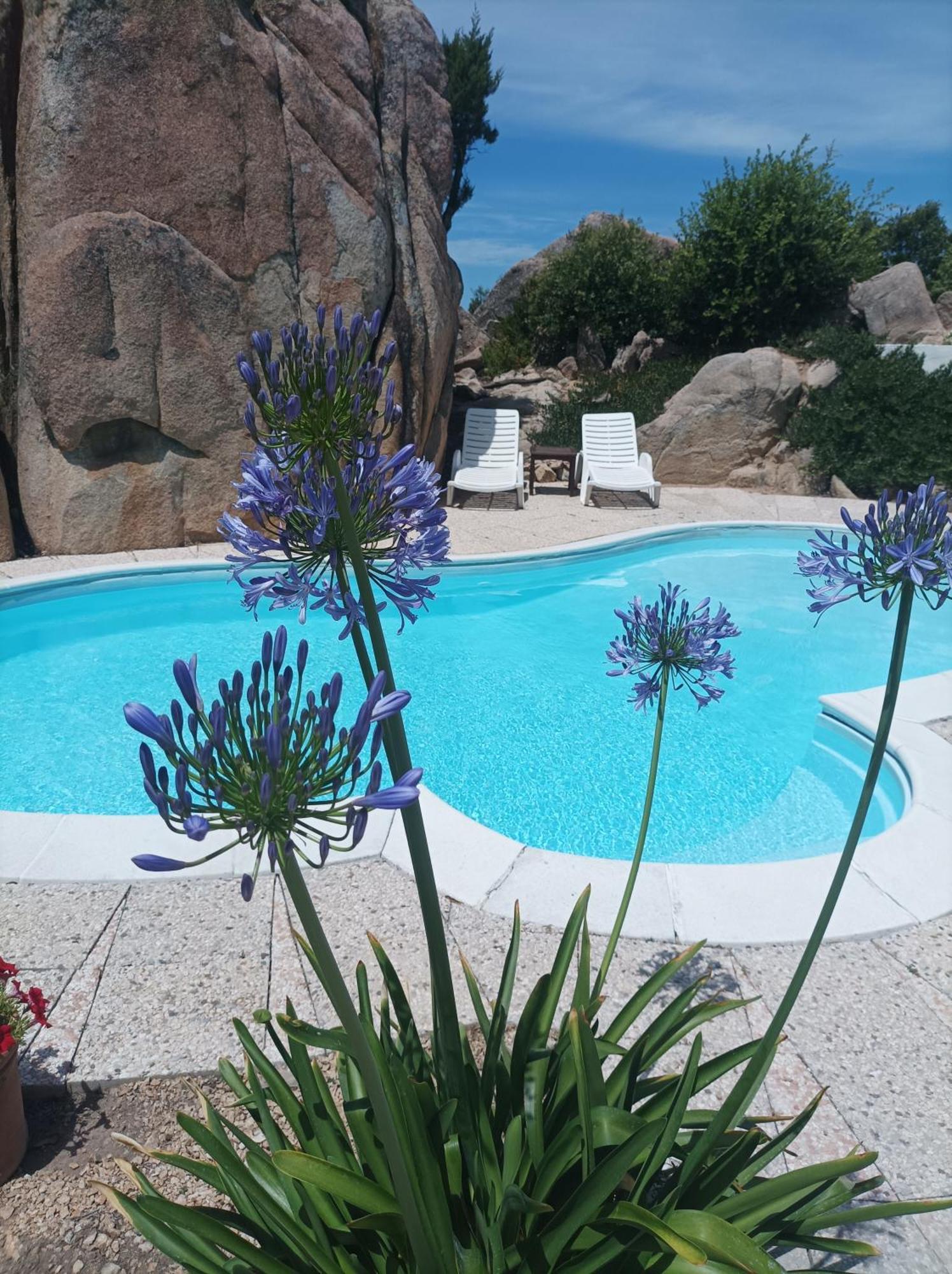 Villa Majore Beb Con Piscina Privata Rena Majore Kültér fotó